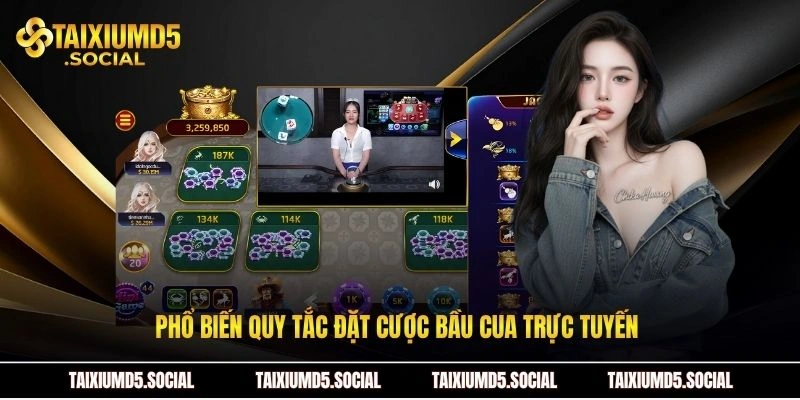 Phổ biến quy tắc đặt cược Bầu cua trực tuyến