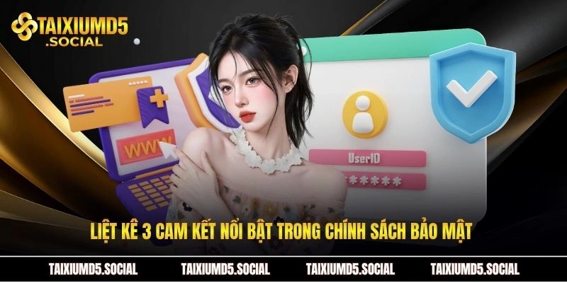 Liệt kê 3 cam kết nổi bật trong chính sách bảo mật