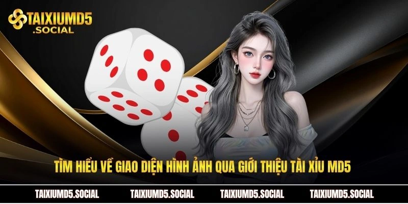 Tìm hiểu về giao diện hình ảnh qua giới thiệu Tài xỉu MD5
