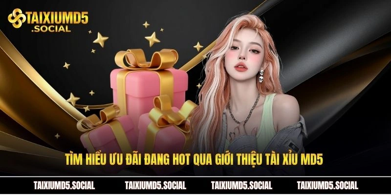 Tìm hiểu ưu đãi đang hot qua giới thiệu Tài xỉu MD5
