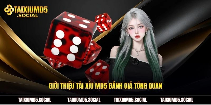Giới thiệu Tài xỉu MD5 đánh giá tổng quan