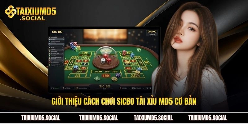 Giới thiệu cách chơi sicbo Tài xỉu MD5 cơ bản