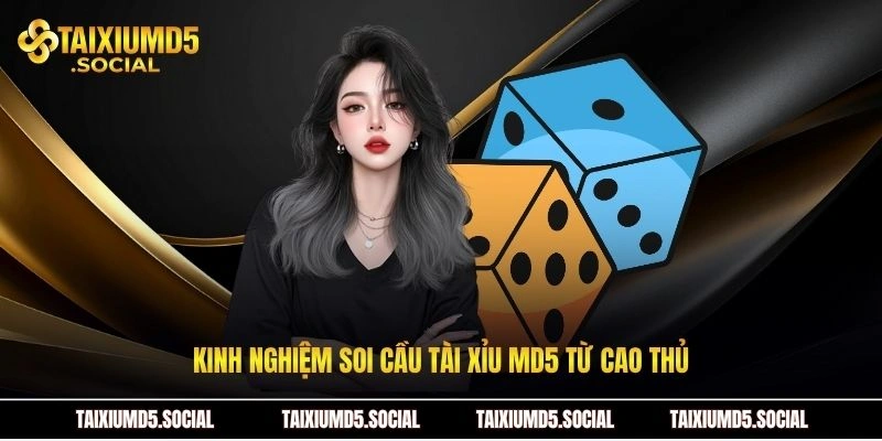 Kinh nghiệm soi cầu tài xỉu MD5 từ cao thủ