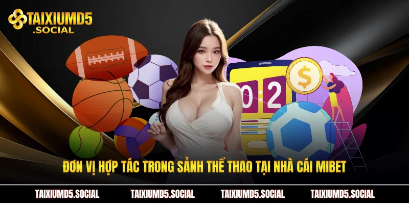 Đơn vị hợp tác trong sảnh thể thao tại nhà cái Mibet