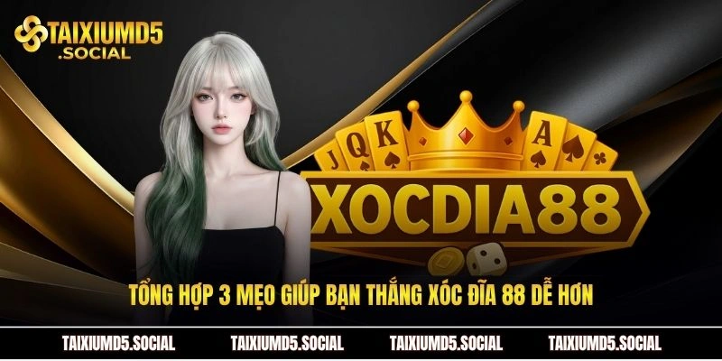 Tổng hợp 3 mẹo giúp bạn thắng xóc đĩa 88 dễ hơn