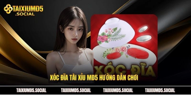 Xóc đĩa Tài xỉu MD5 hướng dẫn chơi