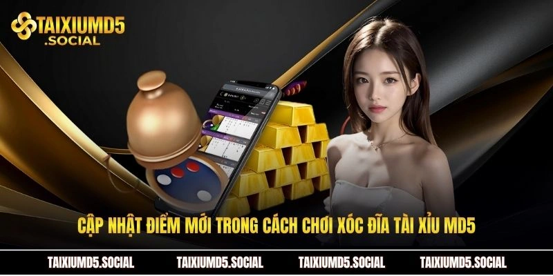 Cập nhật điểm mới trong cách chơi xóc đĩa Tài xỉu MD5